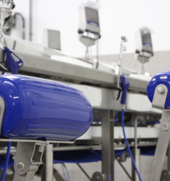 New production line in FISK