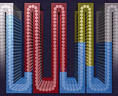Under the hydrostatic principle, steam in the sterilized zone (red) is balanced by the two water columns