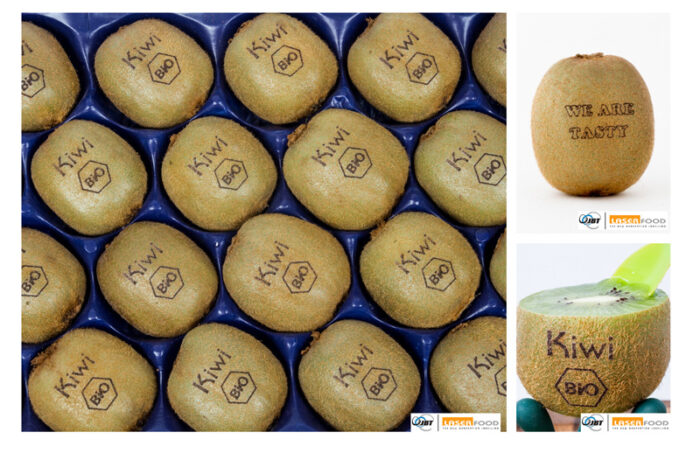 Laser Food_kiwifruit