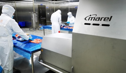 Tianyun builds new brand Trout Fresh with Marel automation