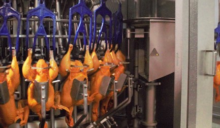 Avícola El Carmen opts for automated processing