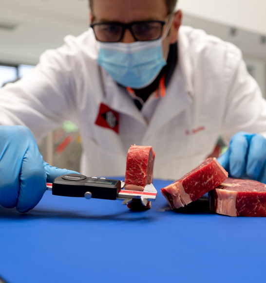 Treif meat processing