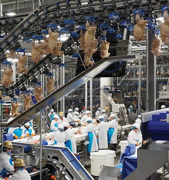 Costco Poultryusa 002