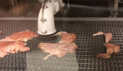 DSI™ Dual Robotic Harvester Automated Meat Processing