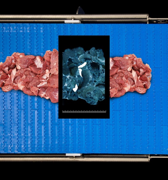 Sensorx X Ray Meat Inspection For Bone Detection