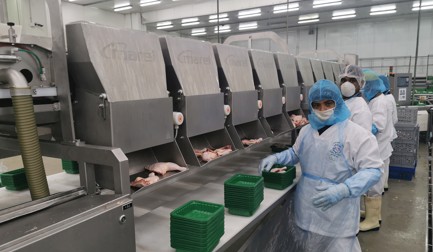 A mais alta qualidade é fundamental para a Arasco