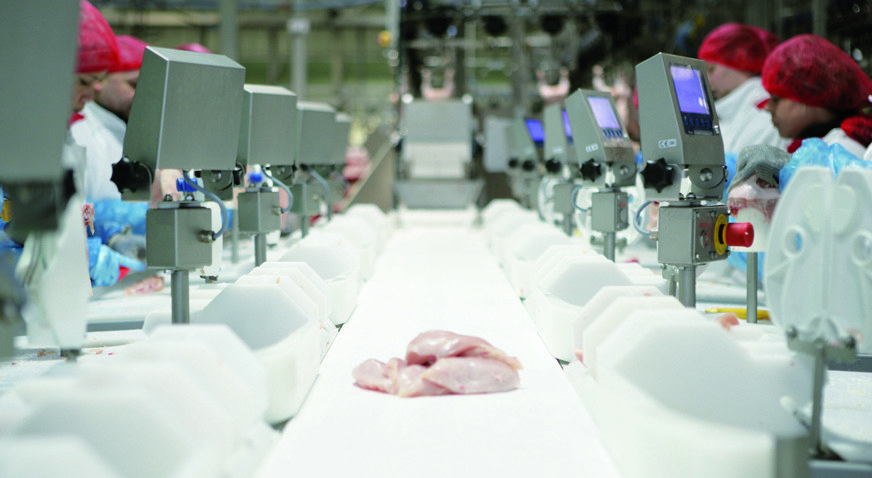 Marel Streamline Technology