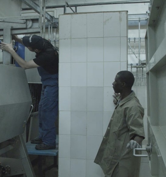 Poultry Processing Technical Service