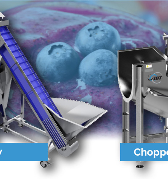 FVPGrow-and-Chopper-Blender-Article