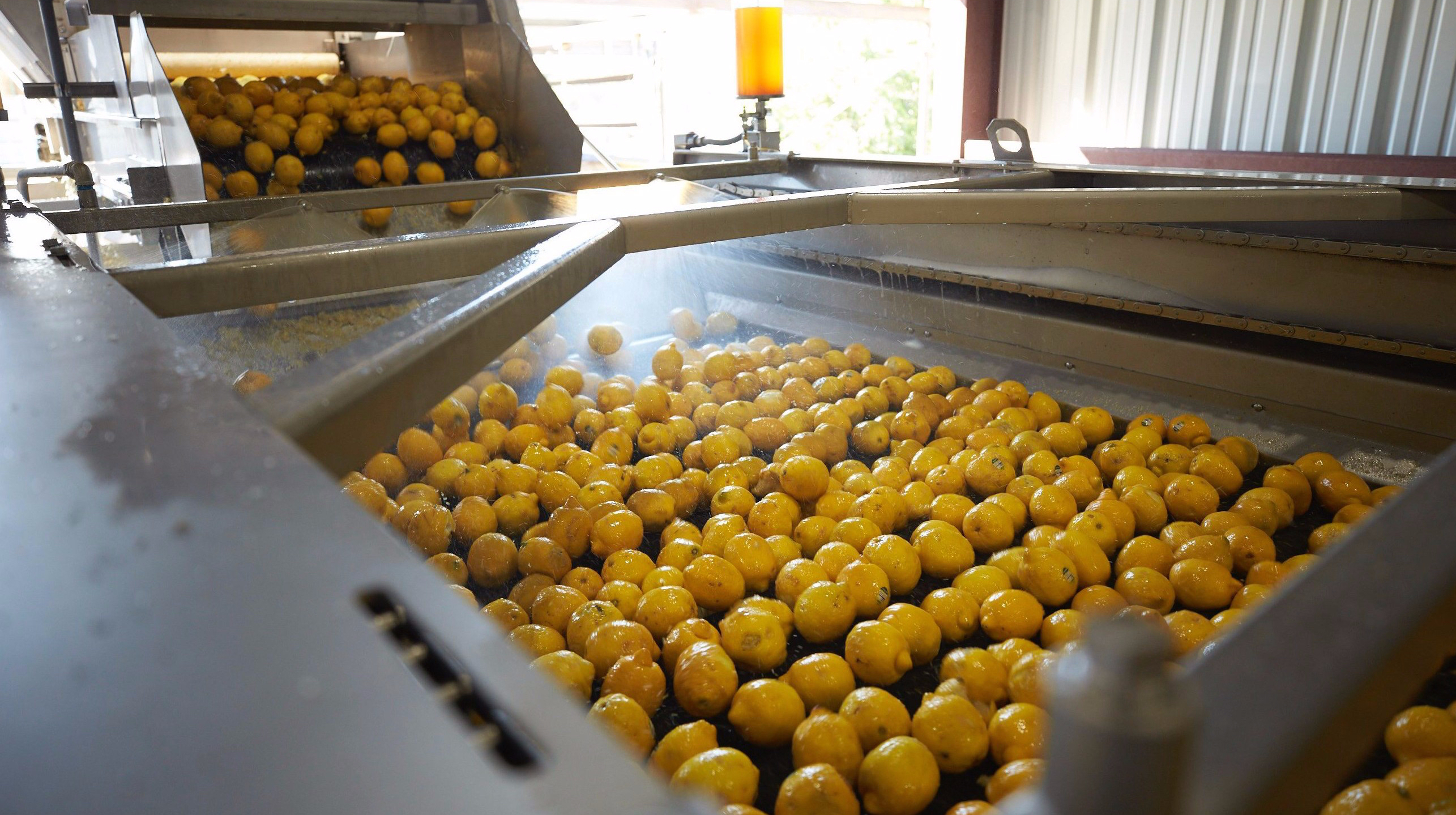 Aurratech is researching post harvest applications for fruits