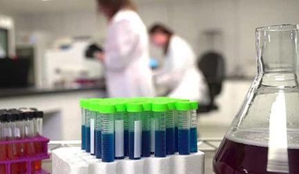 Ensuring poultry safety: the vital role of Prevenio Lab Services