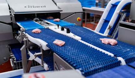 Vodnanska Drubez renova o processo secundário