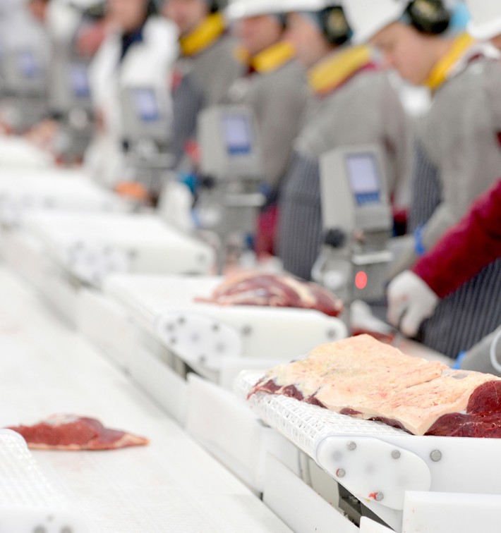 Slaney 2014 Closeupline