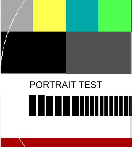 Portrait Test