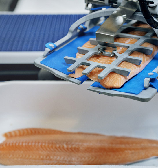 Robobatcher box, salmon fillets