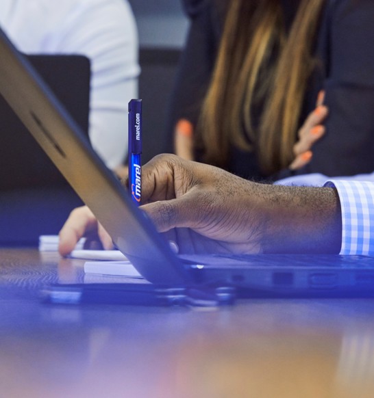 marel-2017mynd93.jpg (1)