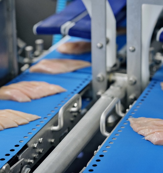 I Cut 122 Strip Cutting