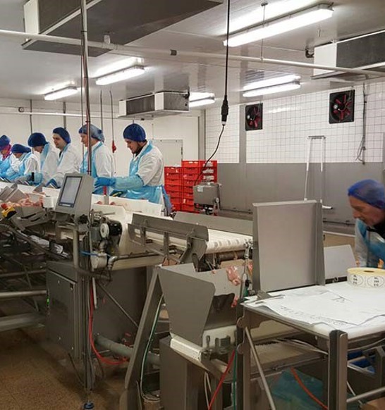 Brabant Meat Production