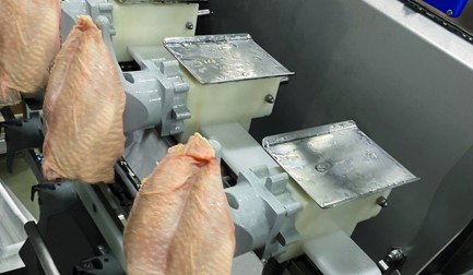 Filetagem bem-sucedida de grandes peitos com osso