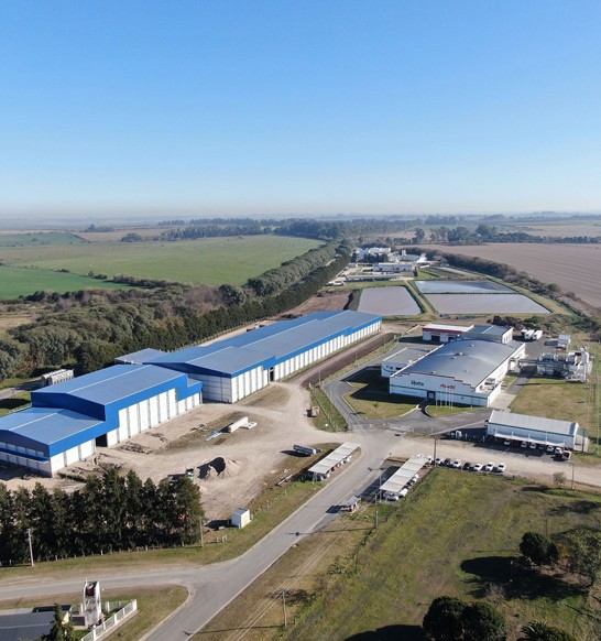 Calisa2 greenfield is like an oasis