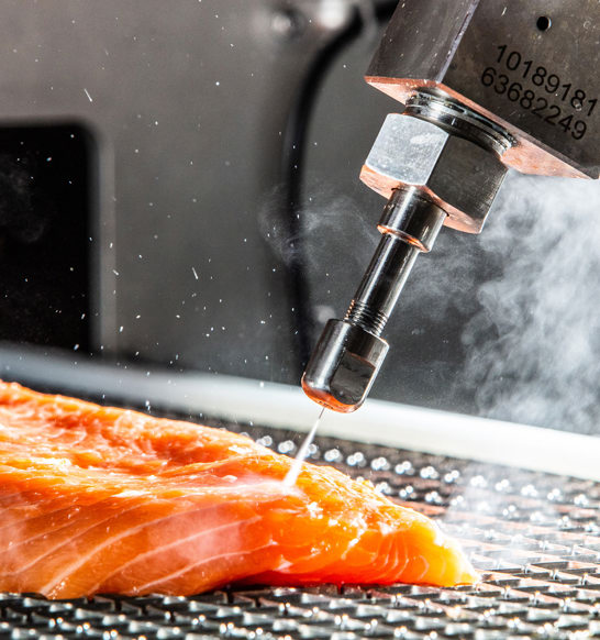 Water jet salmon trimming