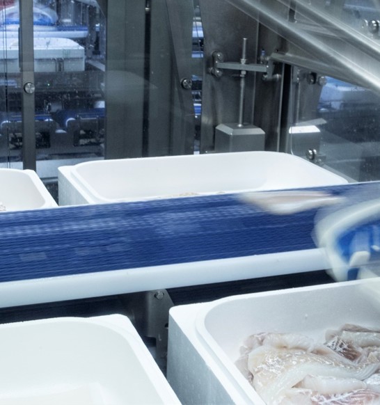 Robobatcher at Visir