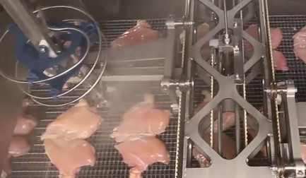 DSI™ Waterjet Portioning Systems