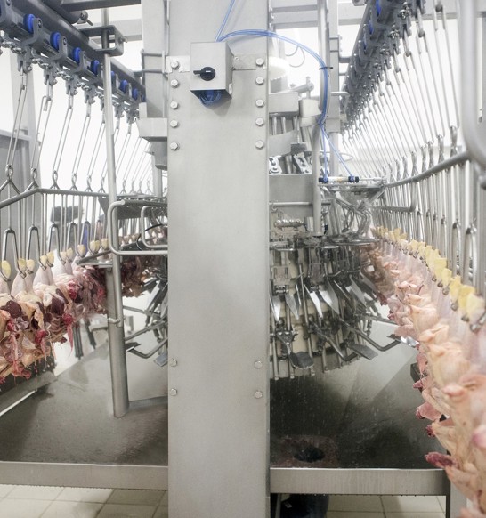 Nuova Coretech Lizman Argentina