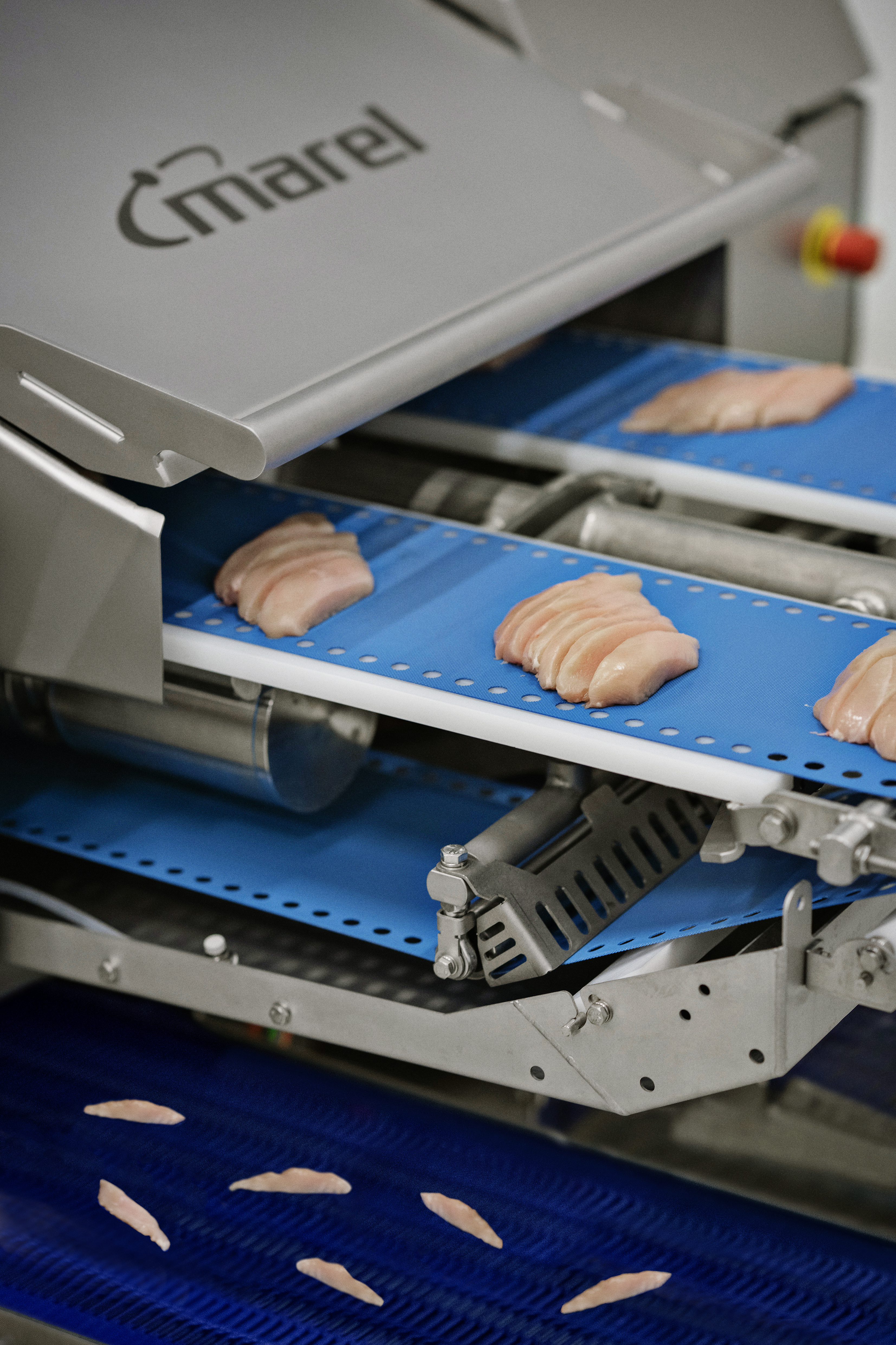 I Cut 122 Trimsort Def