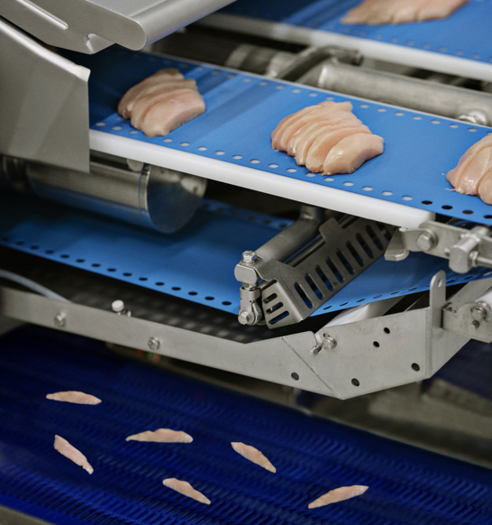 I-Cut 122 TrimSort poultry portion cutter