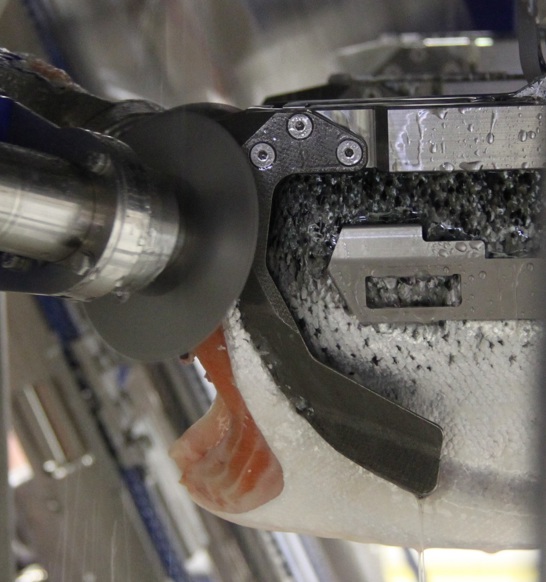 Marel Salmon Deheader MS 2721 V