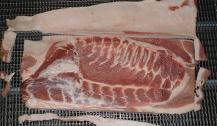 Saving costs and boosting safety: how DSI Waterjet Systems benefit porkbelly processors