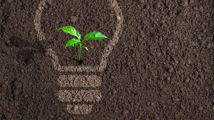 Green plant in light bulb silhouette on soil background