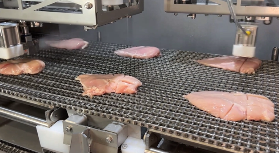 The DSI812 waterjet portioner now gives a competitive edge to numerous poultry producers in Europe and worldwide.