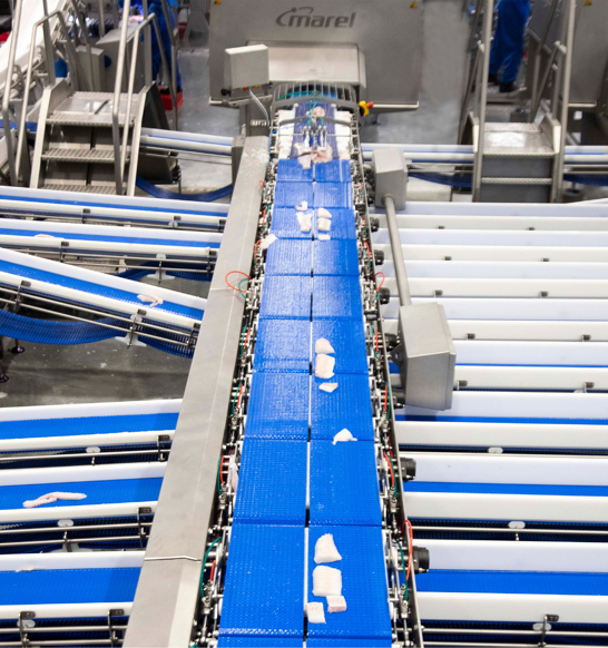 Marel Maximising Shelf Life