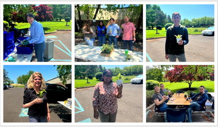 Cultivating a Greener Workspace: Our Desk Plant Potting Event Success Story