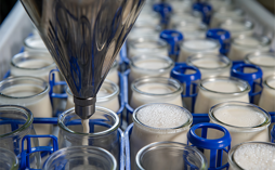 WEBINAR: Demo+ Cheese