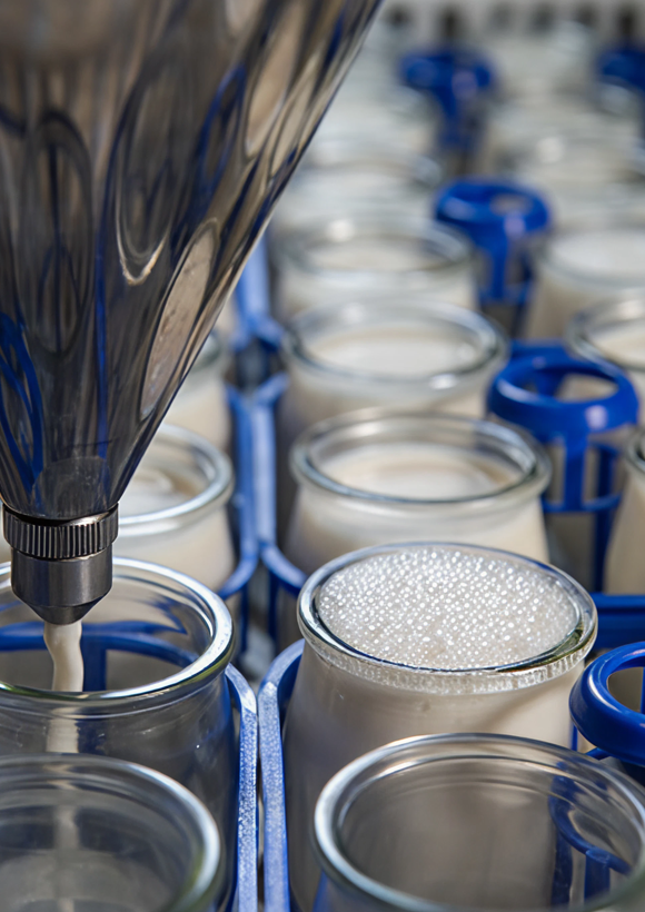 WEBINAR: Demo+ Cheese