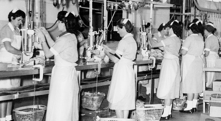 shen valley produce tipper tie clippers