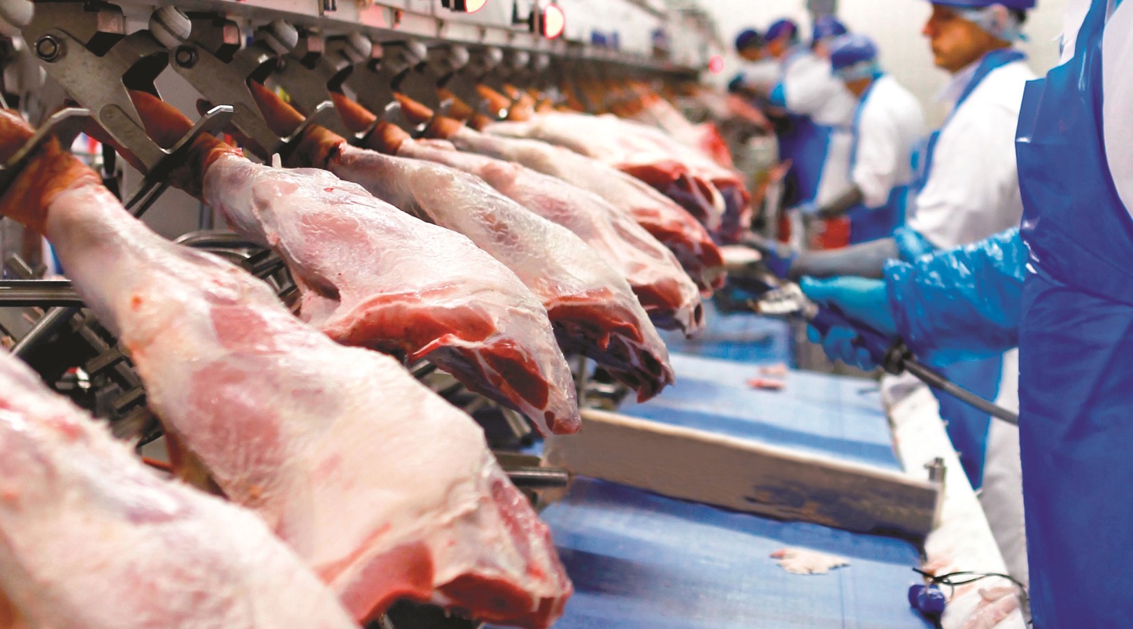 Deboflex hanging deboning system