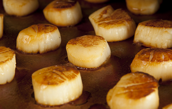 CC-Scallops1