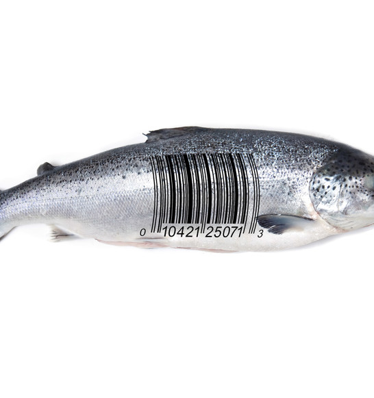 Innova Salmon Barcode