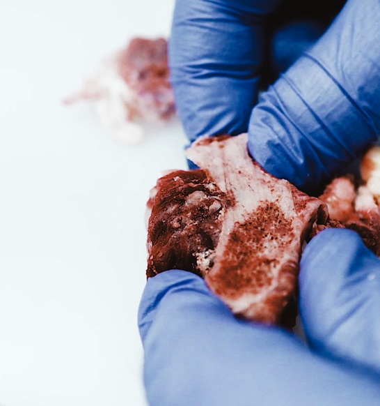 Xray Inspection To Protect And Enhance Brand Marel