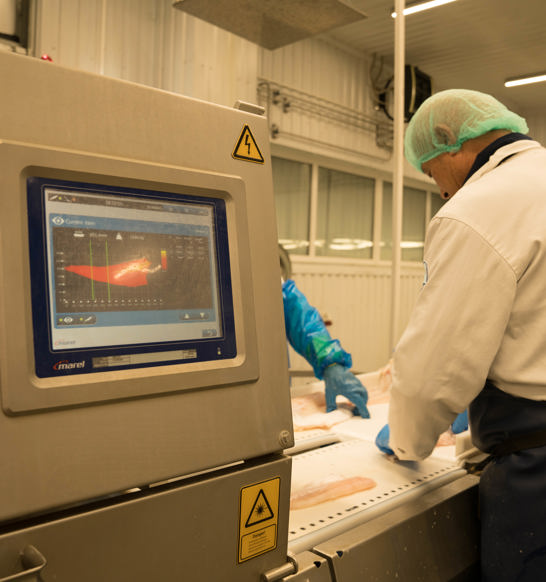 Marel processing equipment