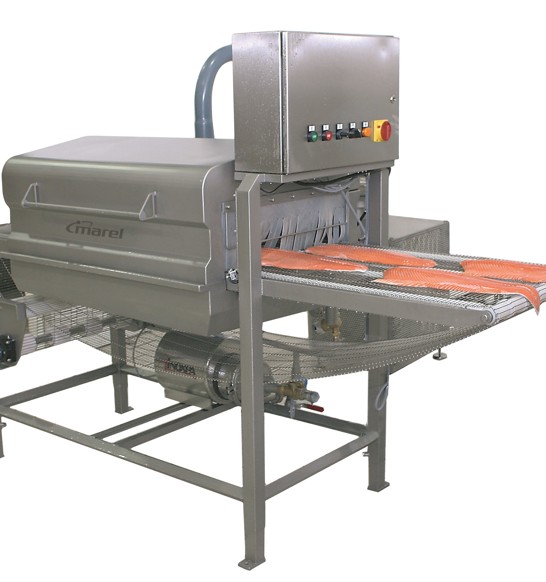 Salmon Fillet Washer