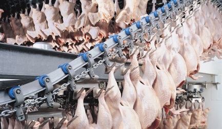 Prestage Farms construit une usine de référence pour la transformation de dindes