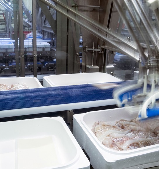 RoboBatcher Whitefish